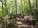 0 Chestnut Forest Road sold home in Fairview, SC