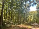 0 S Poplar Drive 165 sold home in Lake Lure, SC