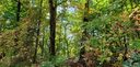 0 Pinnacle Parkway 33 sold home in Union Mills, SC