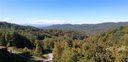 9 Longspur Lane 55 sold home in Asheville, SC