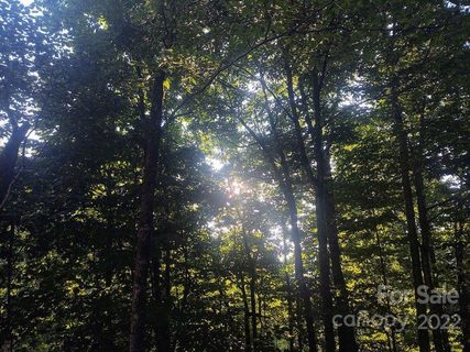 Tbd Spruce Flats Road 39