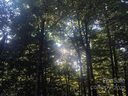 Tbd Spruce Flats Road 39 sold home in Maggie Valley, SC