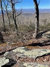 76 Couch Mountain None