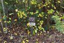 73 Boone Cove Road 72 sold home in Zirconia, SC