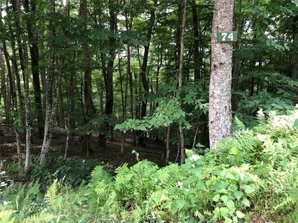 Tbd May Apple Lane 74 sold home in Wolf Laurel Heights, Mars Hill, NC