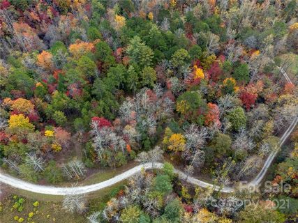 99999 Trillium Lane 15 sold home in Three Creeks, Lake Lure, NC