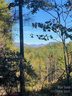 111 Swallowtail Ridge 117 sold home in Nebo, SC