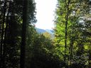 9 Katua Trail 9 & 26 sold home in Maggie Valley, SC