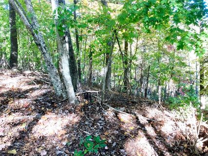 119 West Wilderness Road