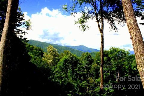 46 Black Bear Run