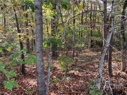 0 Silent Forest Way