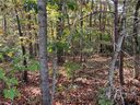 0 Silent Forest Way sold home in Lake Lure, SC