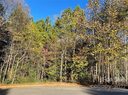 5138 Woodwinds Drive sold home in Hickory, SC
