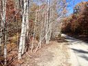 Lot 45 N Haven Ridge Lane sold home in Marion, SC