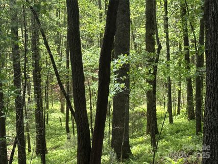 9999 Sassafras Road active lot in Idlewild, Cedar Mountain, NC