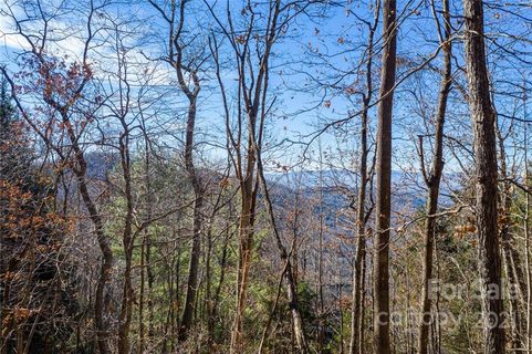 9999 Kalmia Drive 19 sold lot in Rice Knob Heights, Asheville, NC