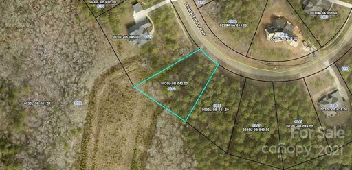 6163 Chimney Bluff Road Lots 11/12