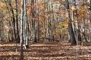 0 Wilderness Ridge sold home in Rutherfordton, SC