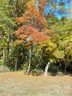 00 Madison Street sold home in Gastonia, SC