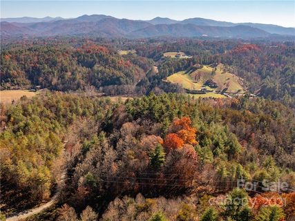 0 River Bend Drive 7 sold lot in Bend Of Ivy, Mars Hill, NC