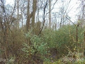 1182 Timber Spring Lane sold lot in Country Manor Estates, Salisbury, NC