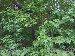 1035 Timber Spring Lane sold lot in Country Manor Estates, Salisbury, NC