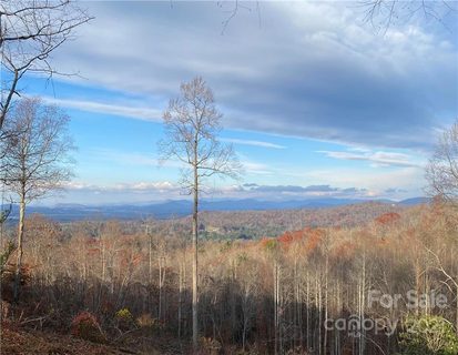 Lot 10 Skydance None sold home in Skydance, Hendersonville, NC