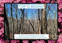 Lot A22 A25 Junaluska Road sold home in Boone, SC