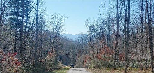 37 Ashewood Mountain Way 24 sold lot in Ashewood, Candler, NC