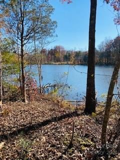 721 Flamingo Road sold lot in Flying Eagle Estates, Clover, SC