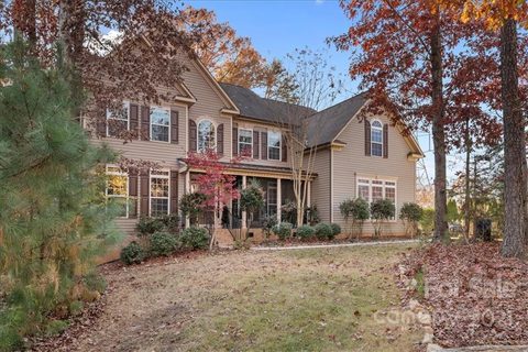 330 Squirrel Lane