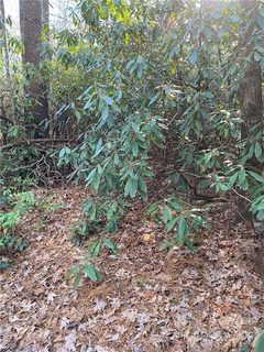 Tbd Meadowlark Lane Lot 123 & 134 sold home in Bear Wallow Hollow, Sapphire, NC