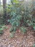 Tbd Meadowlark Lane Lot 123 & 134 sold home in Sapphire, SC