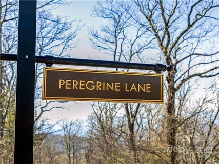 999 Peregrine Lane 16 sold home in Wildcat Cliffs, Asheville, NC
