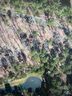 217 Lakewood Circle 166 sold home in New London, SC