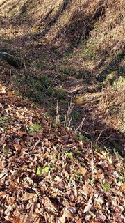 0 Melton Branch Road sold land listing in Shoot Out Mountain, Bakersville, NC