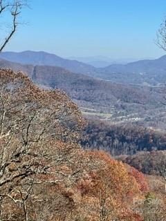 Lot 93 Wandering Trail