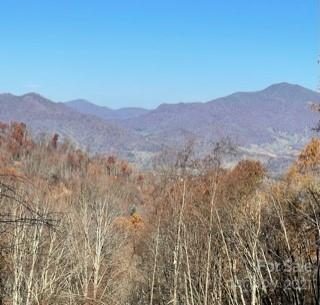 Lot 104 Avalon Gap Trail