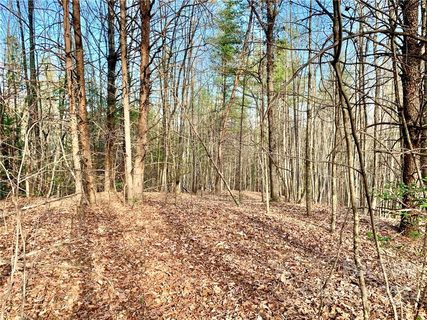 0 Round Mountain Parkway 63
