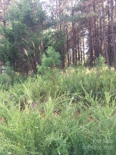 0 Moore Mountain Lane 3 sold lot in Moore Mountain Farms, Ellenboro, NC