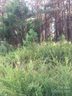 0 Moore Mountain Lane 3 sold home in Ellenboro, SC