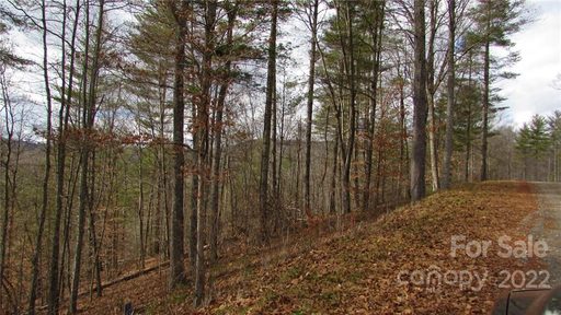 00 High Peak Drive 48 sold home in River Crest, Burnsville, NC