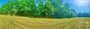 103 Ryleigh Dan Place sold home in Mooresville, SC