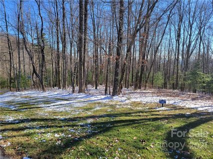 0 Thunder Mountain Road 133