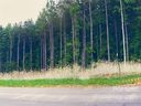 5820 Kaylee Ann Drive sold home in Granite Falls, SC