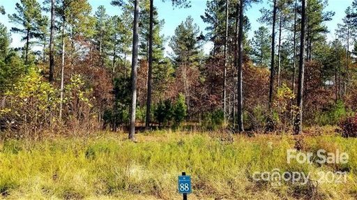 0 Big Pine Drive 88