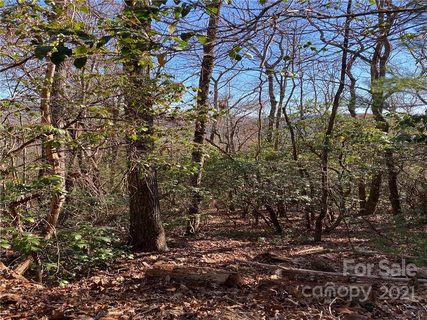 5c Dogwood Circle C-5 sold lot in Dogwood Mountain Estates, Penrose, NC
