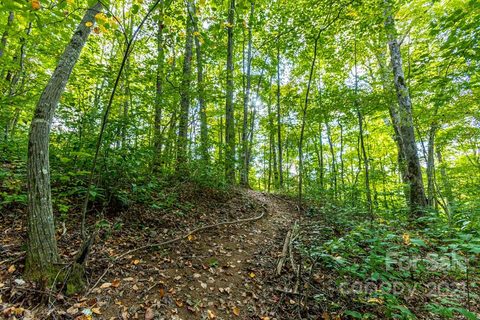 Off Charles Wesley Drive sold lot in Holston Village, Waynesville, NC