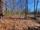 124 Sleepy Hollow Drive sold home in Waynesville, SC