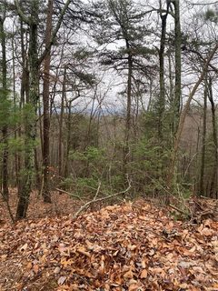 3209 Holly Road 54 & 55